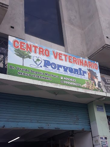 Opiniones de Centro Veterinario Porvenir en Cuenca - Veterinario