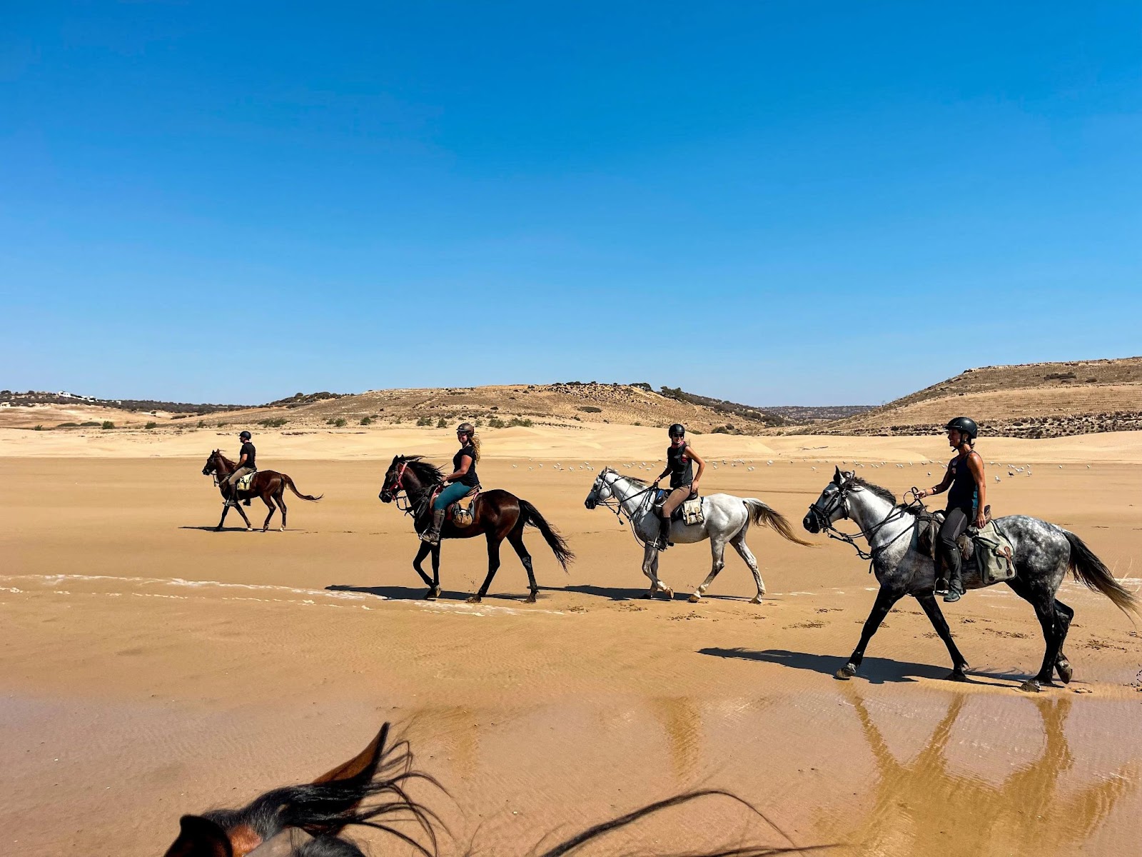 Yassine Cavalier Horseback Riding Experiences