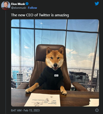 Twitter CEO Chair With Floki