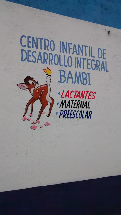 Centro Infantil de Desarrollo Integral Bambi