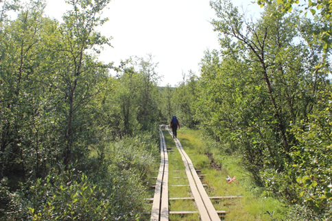 Пешеходный поход I к.с. по Сев. Швеции (нац. маршрут Kungsleden)