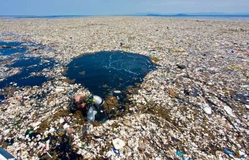 Image result for rubbish in the ocean