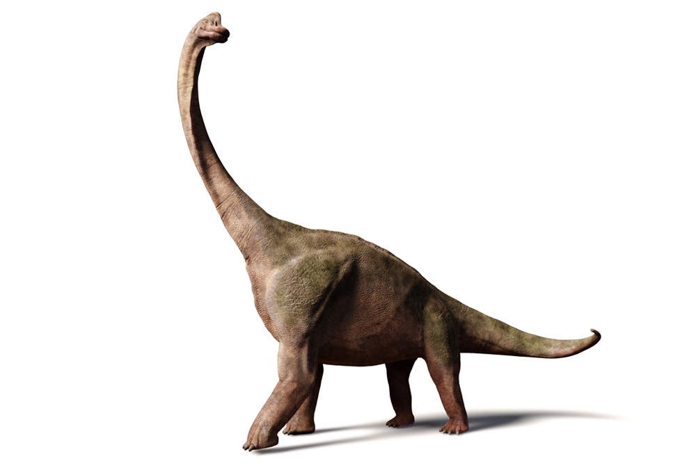 Brachiosaurus