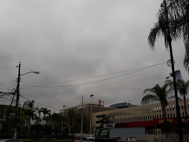 Opiniones de TAXI BTS en Guayaquil - Servicio de taxis