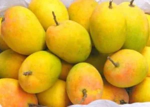 Mango benefits in Tamil