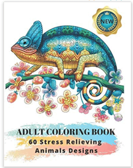 adult coloring book secret santa gift ideas for her