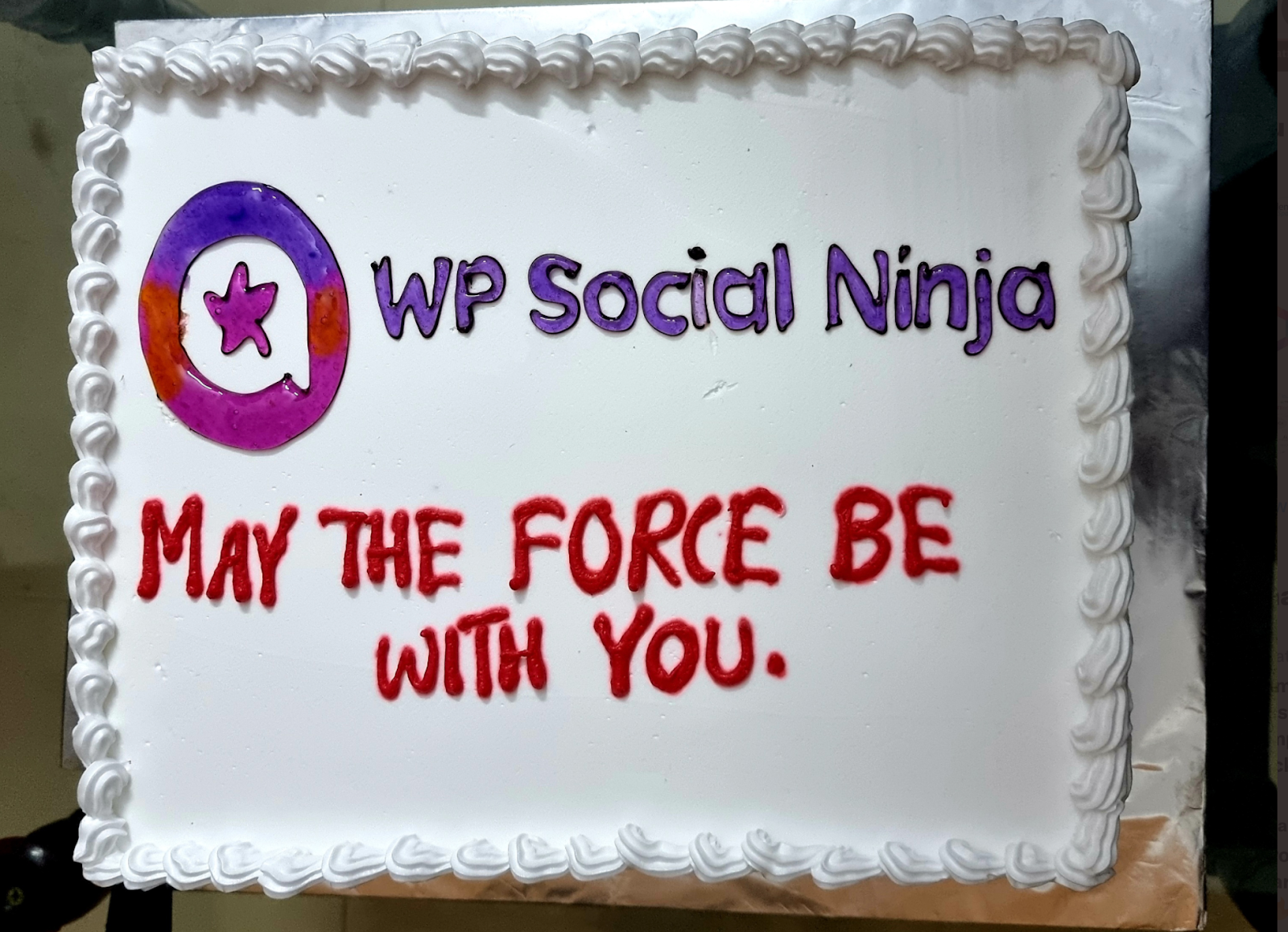 WP Social Ninja year in review launch day