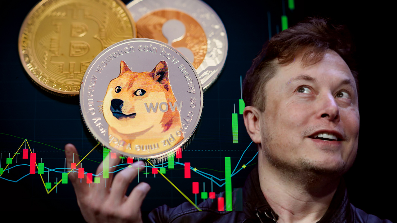 Blog - Elon Musk Effect on Crypto