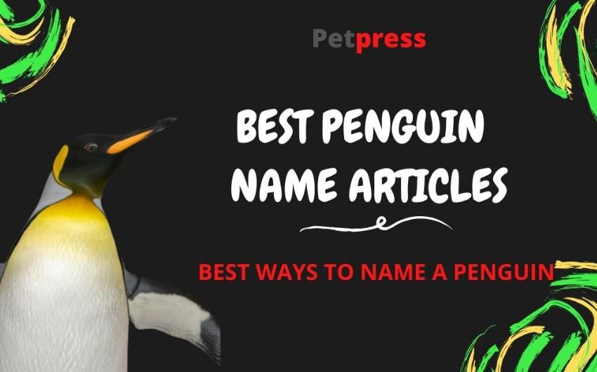 Names for Penguins