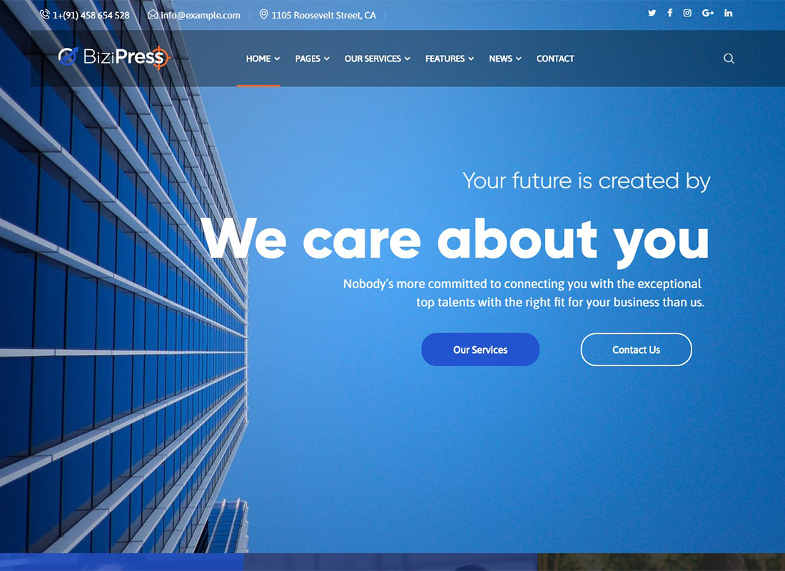 bizipress-finance-insurance-wordpress-theme