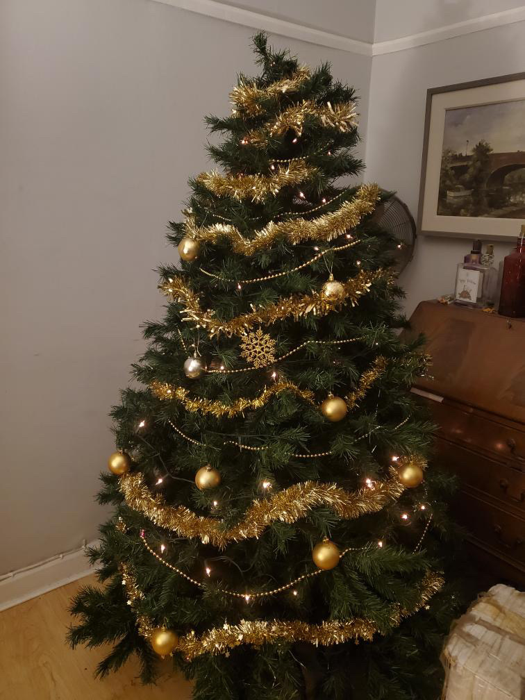 Ez Hampers Christmas plans - Gabby's tree