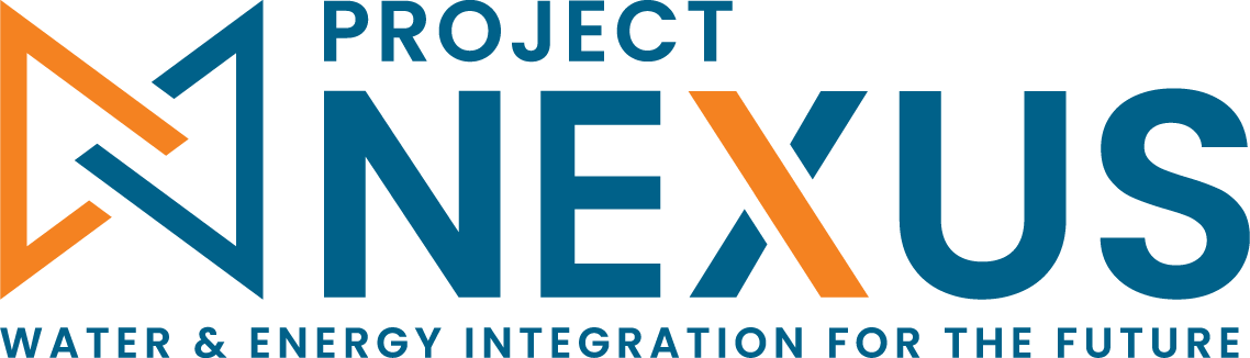 Project Nexus Logo
