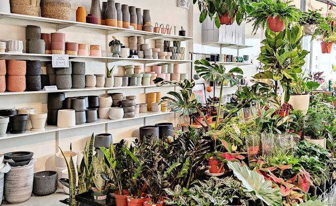 best plant shop singapore