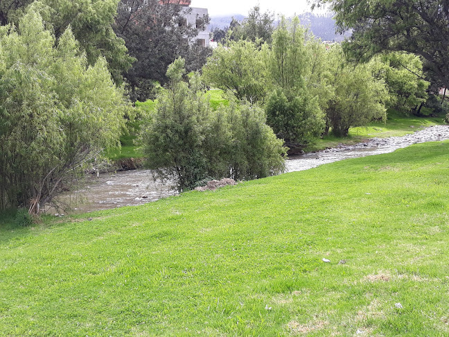 Opiniones de Cancha Los Dumitas en El Guabo - Campo de fútbol