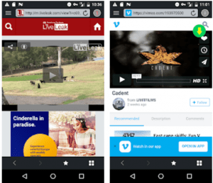 Video downloader