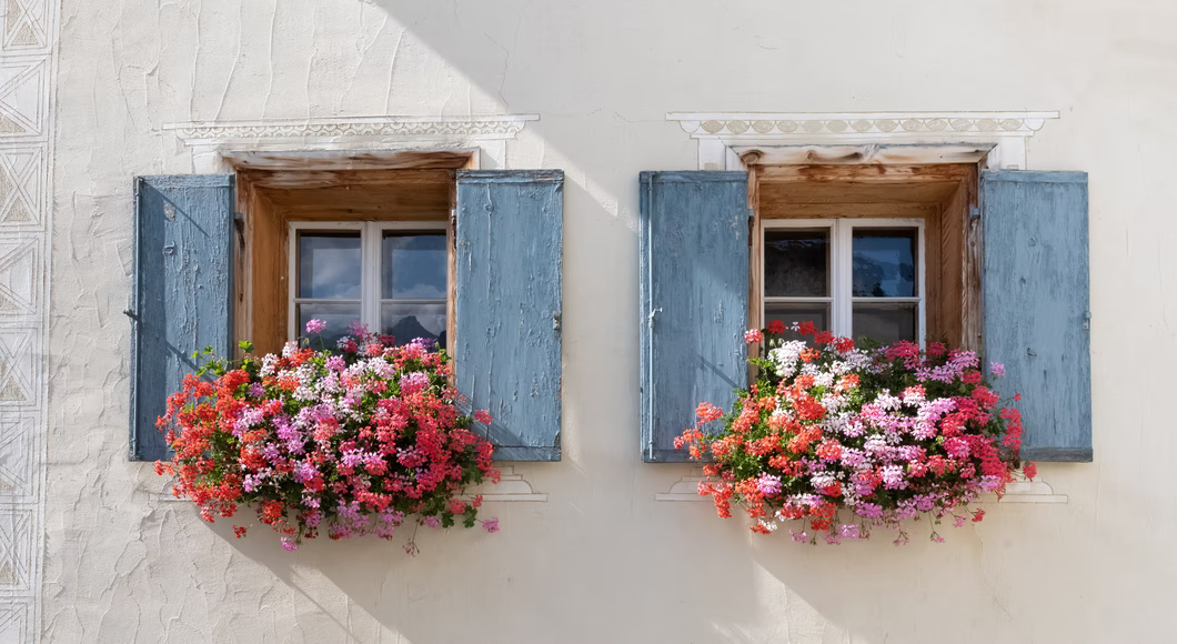 Add flower boxes to windows.