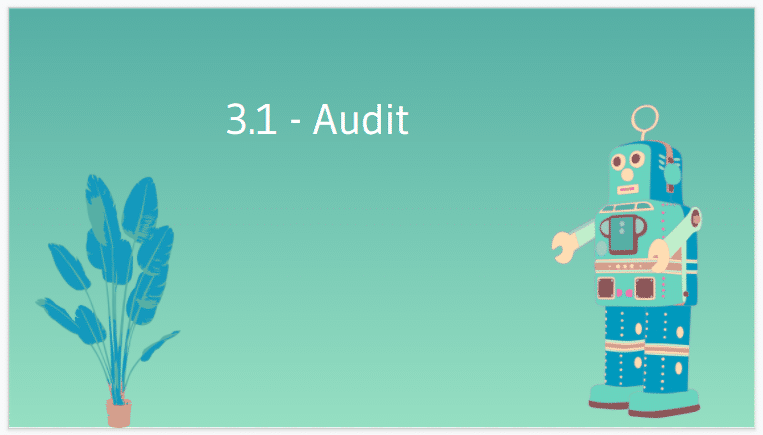 Audit