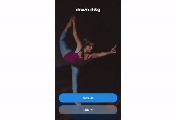 Down Dog app automated onboarding