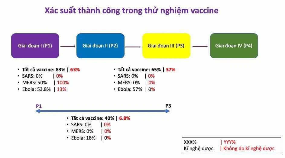 Xác suất thành công từ P1 đến P2, P2 đến P3, và P1  đến lúc được phê chuẩn. Số màu đen là nghiên cứu do kĩ nghệ dược bảo trợ, số màu đỏ là do chánh phủ & mạnh thường quân bảo trợ.   Xác suất thành công là gần 40% cho các vaccine do kĩ nghệ dược bảo trợ. Tỉ lệ này do chánh phủ và tổ chức từ thiện bảo trợ chỉ 6.8%.