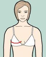 Breast width: from end to end of underwire, across breast apex.
