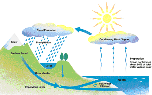 Image result for the water cycle