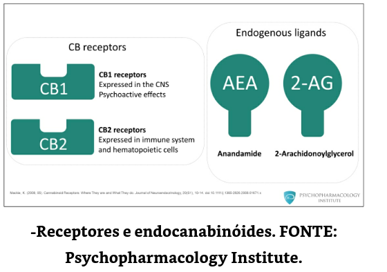 Estrutura de alguns dos endocanabinoides mais estudados. (A)