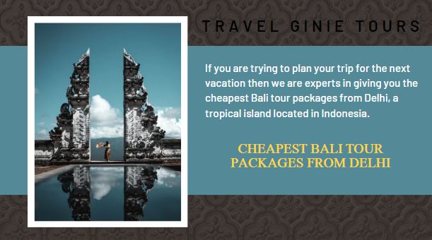 If you are trying to plan your trip for the next vacation then we are experts in giving you the cheapest Bali tour packages from Delhi, a tropical island located in Indonesia.

