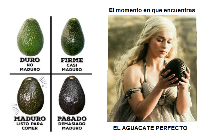 Elegir en el mercado tu aguacate