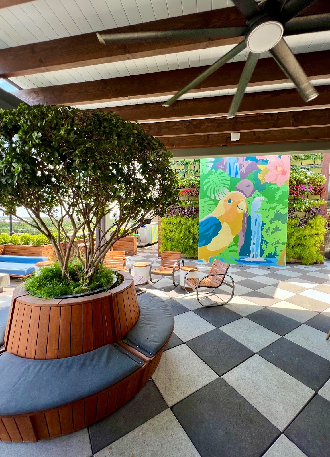 a patio with a tree and chairs