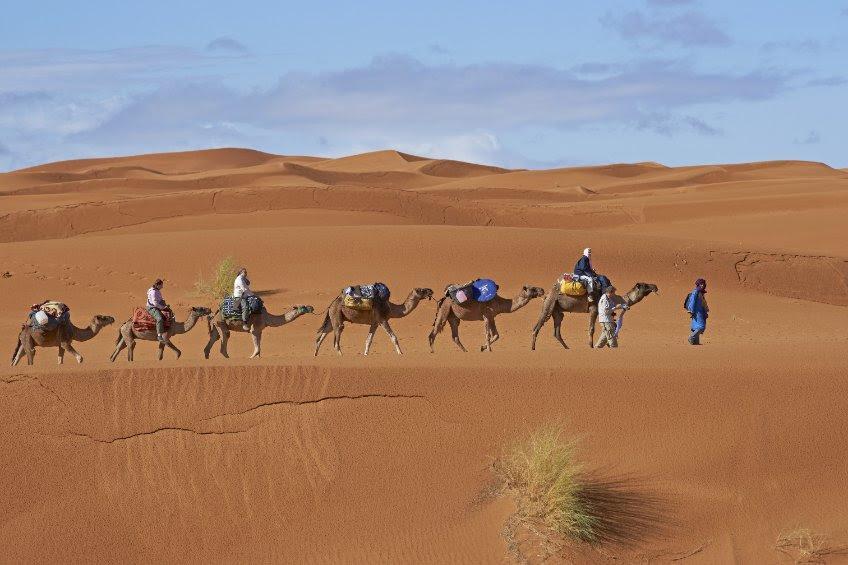 Vivre une excursion dans le désert : pour une effusion de découvertes