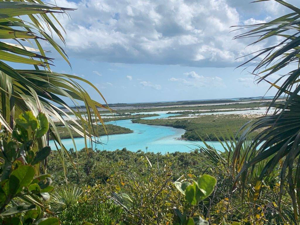 Bahamas Land and Sea Park, a view from the top of a hill. 