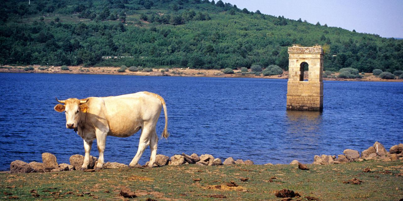 Embalse de Cuerda del Pozo 