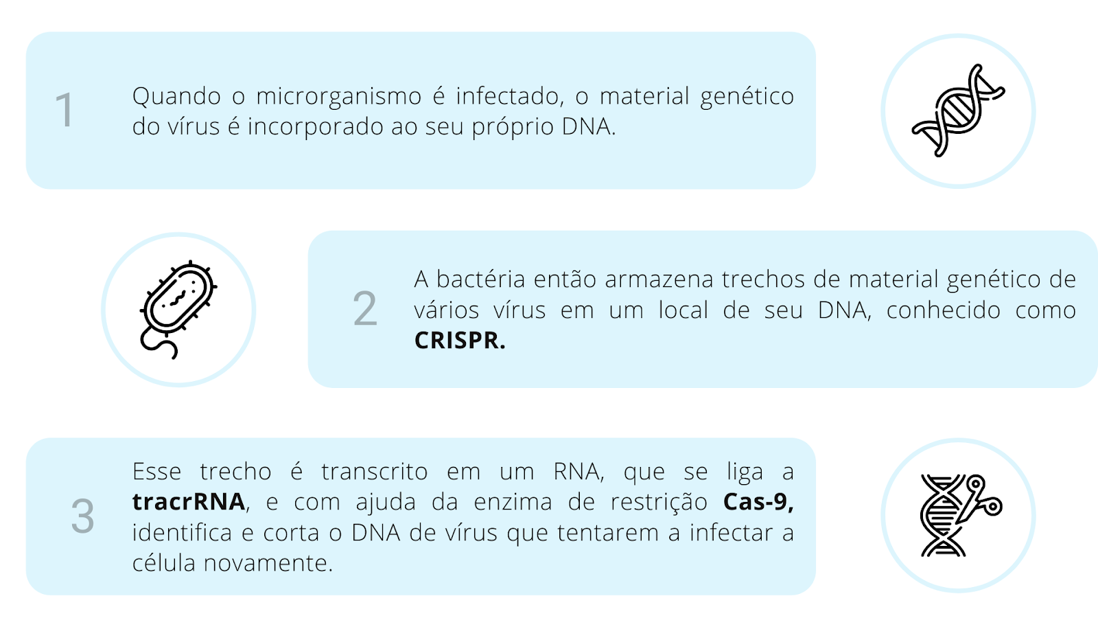 Tabela sobre o mecanismo de funcionamenteo de CRISPR