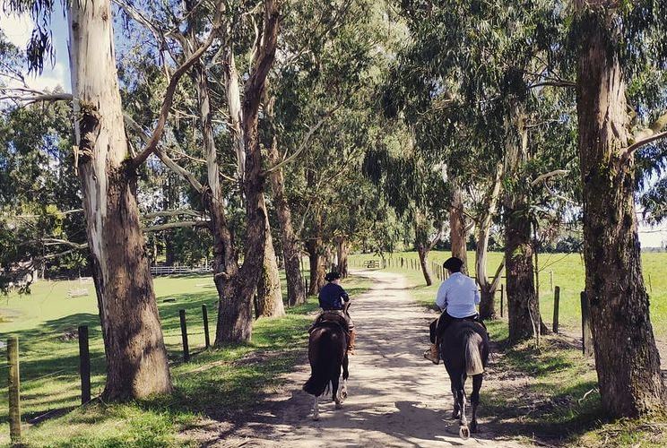 Centro equestre