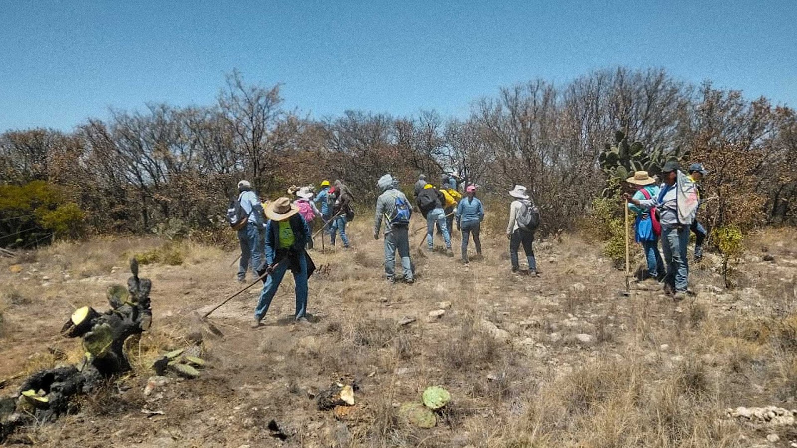 Foto: Efrén Cruz.