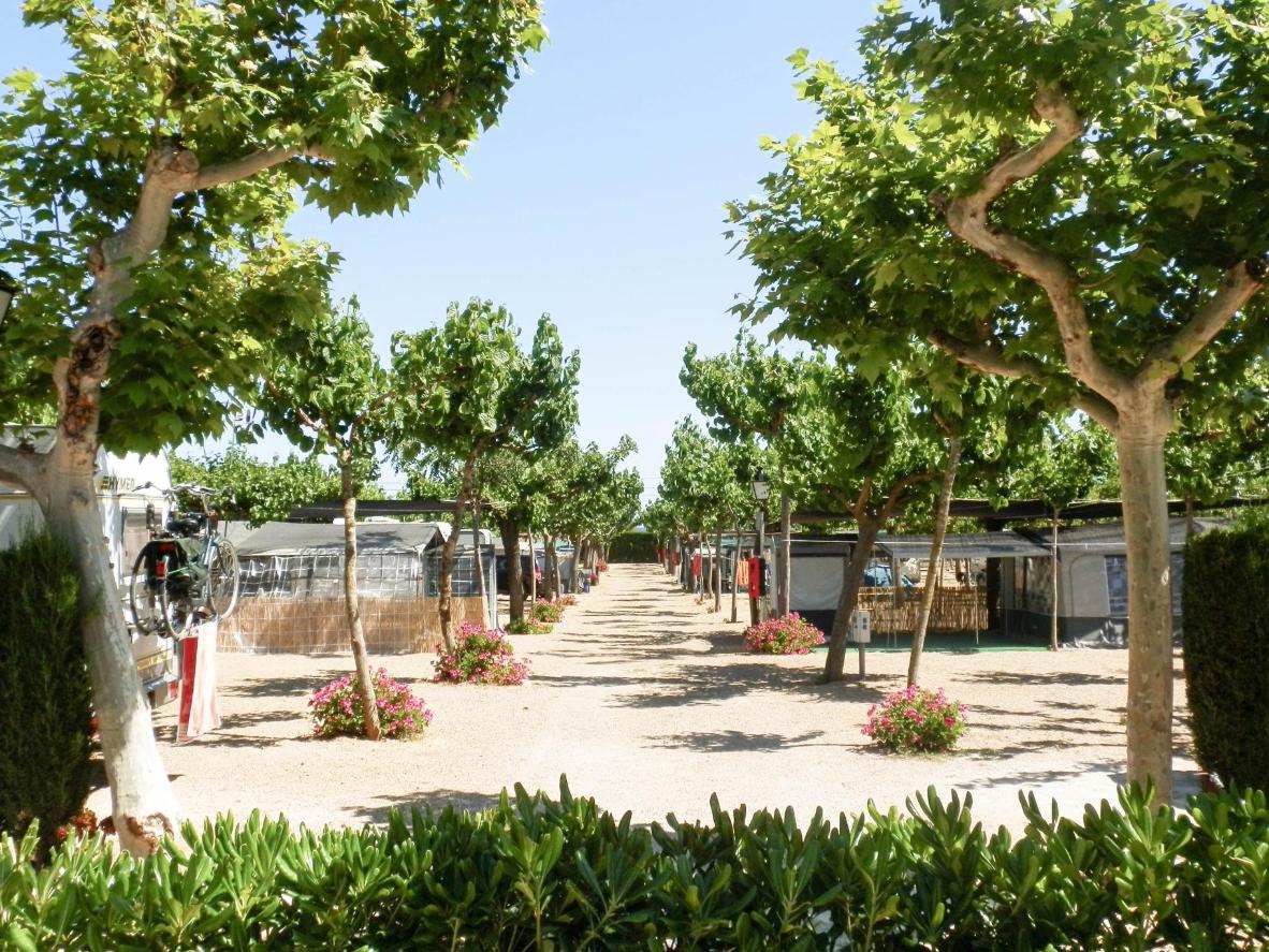 Tree-lined avenues and flowerbeds provide privacy for RV’s and camping trailers at Camping Clará