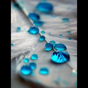 Water Drops Live Wallpaper apk Download