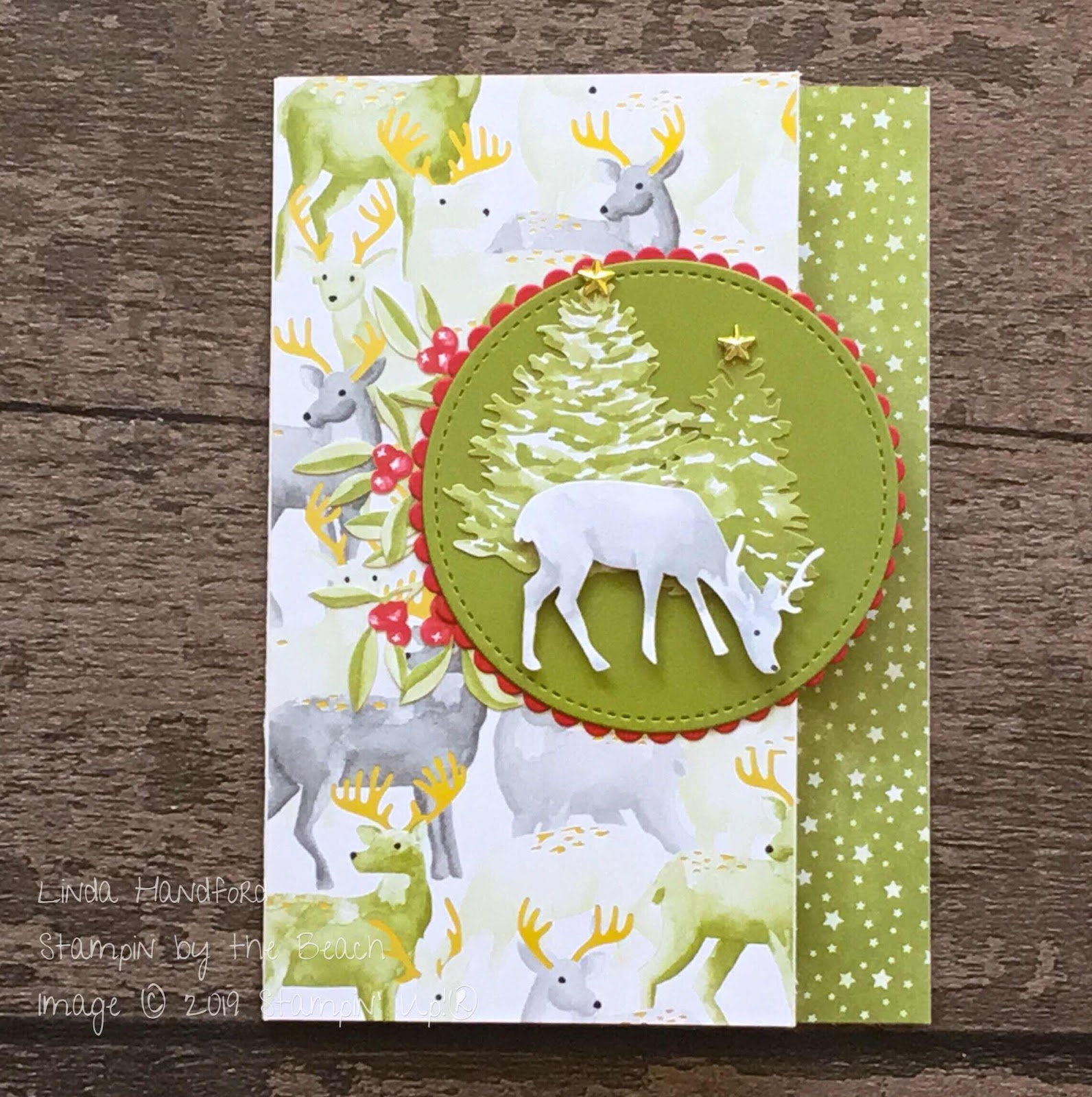 Stampin by the beach: Let's Get Hopping - Casing the Catalogue