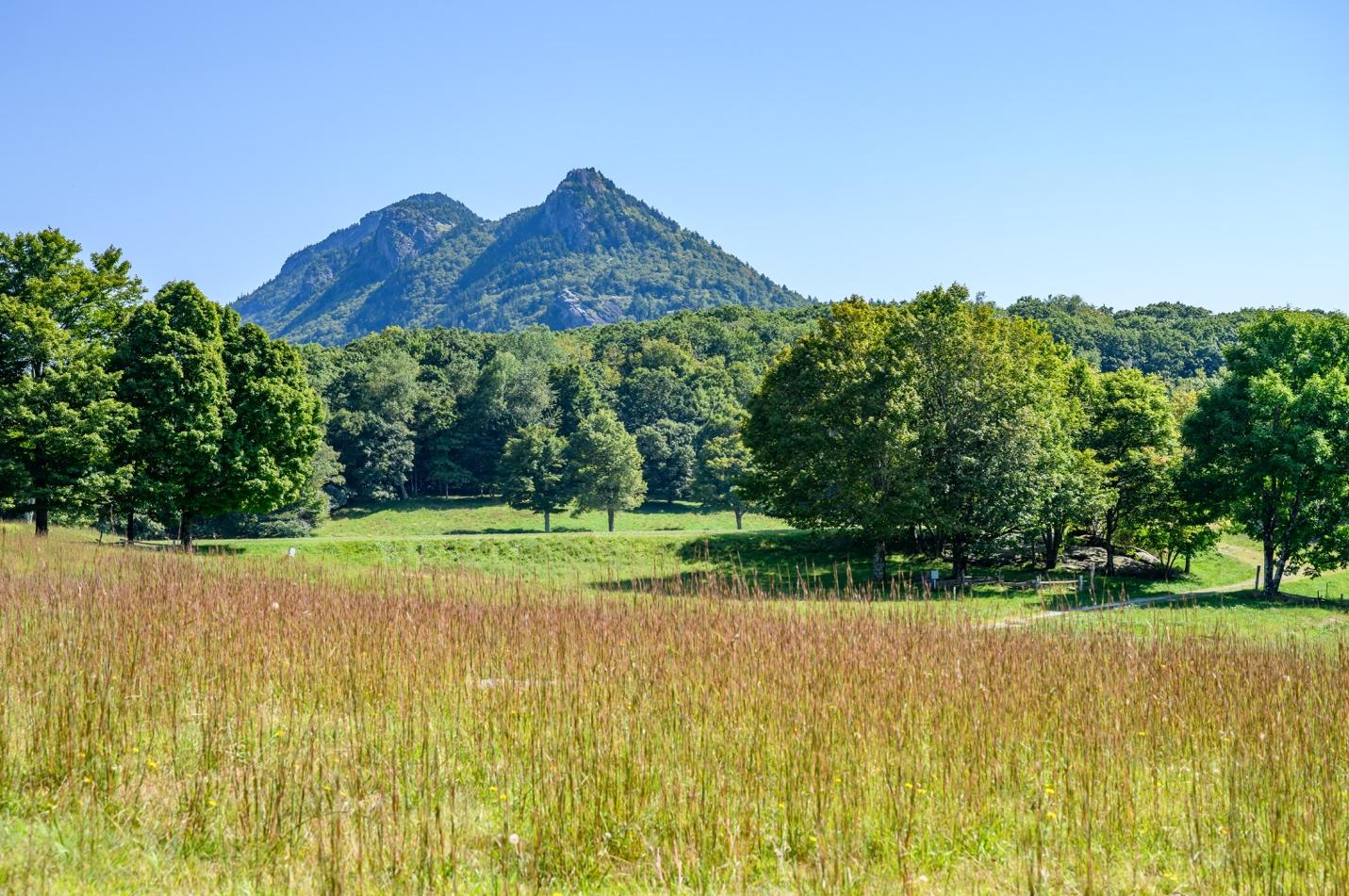 A field with trees and a mountain in the background

Description automatically generated with medium confidence