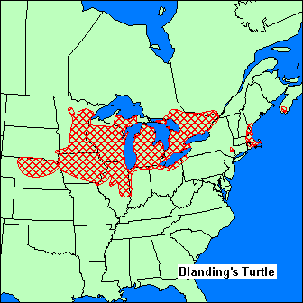Map of Blanding's Turtle Map of Blanding's Turtle