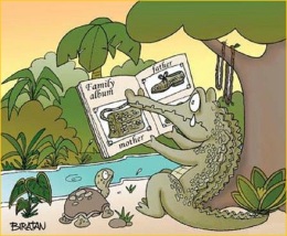 crocodilo (1)