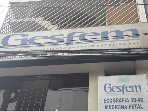 GESFEM
