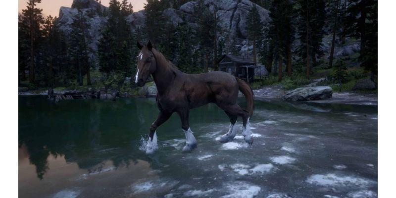 Belgian horse RDR 2