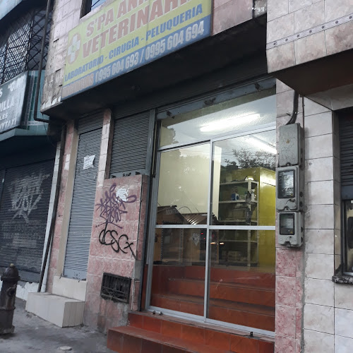 Opiniones de S'Pa Animal's Veterinaria en Quito - Veterinario