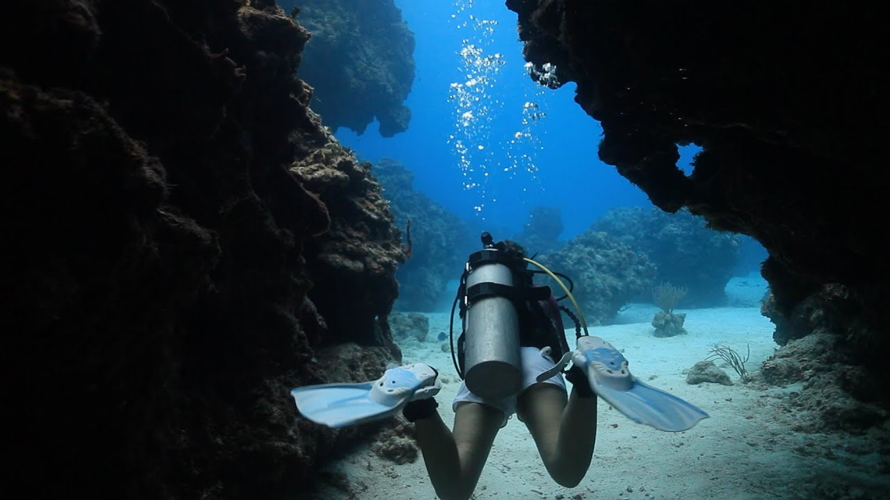 Caribbean Diving