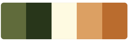 Muted color palette for a quiet and confident website design