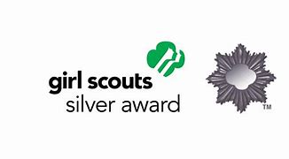 Image result for silver award