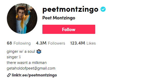 Peet Montzingo TikTok
