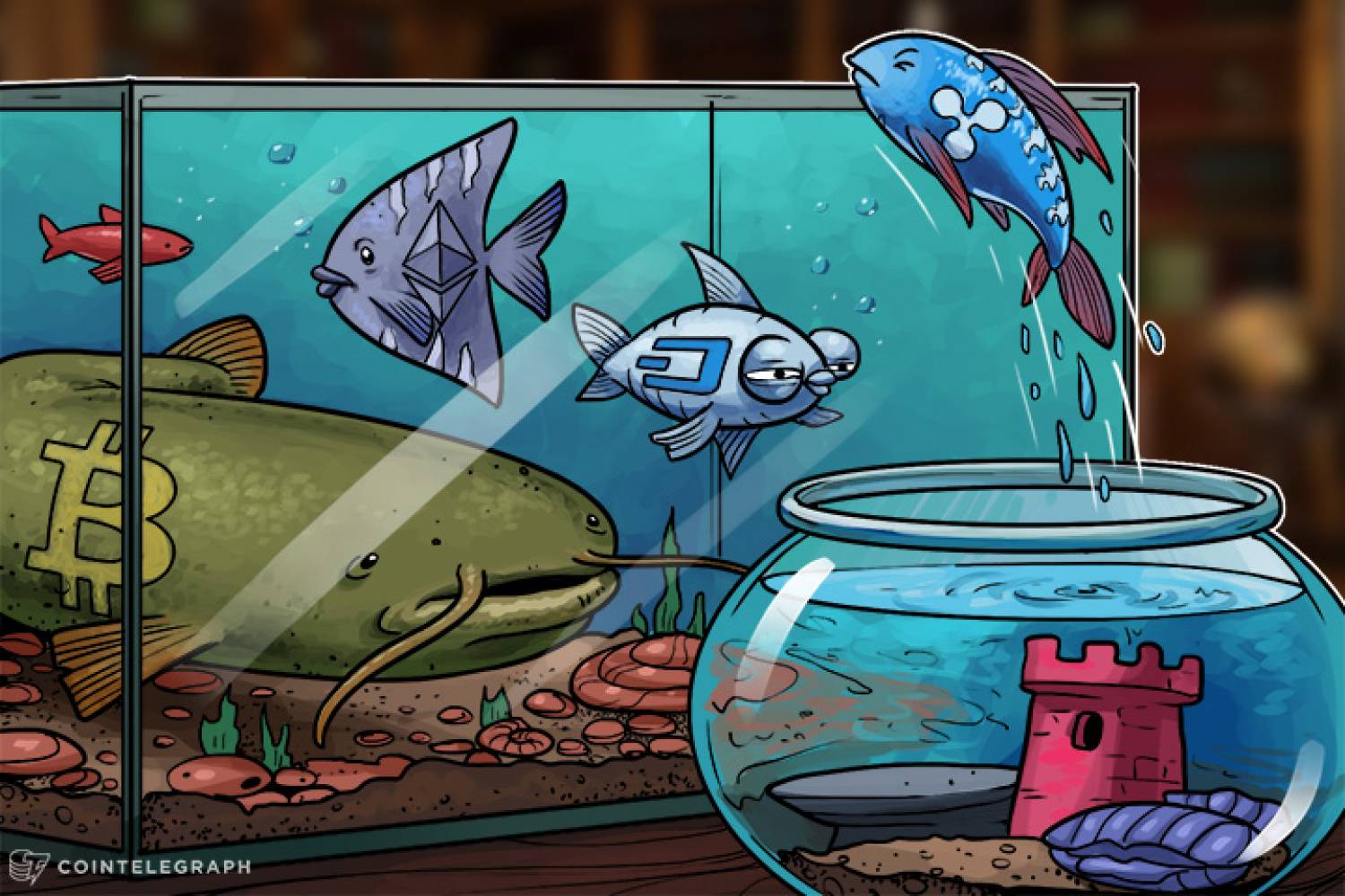 ryptocurrency market as a fish tank