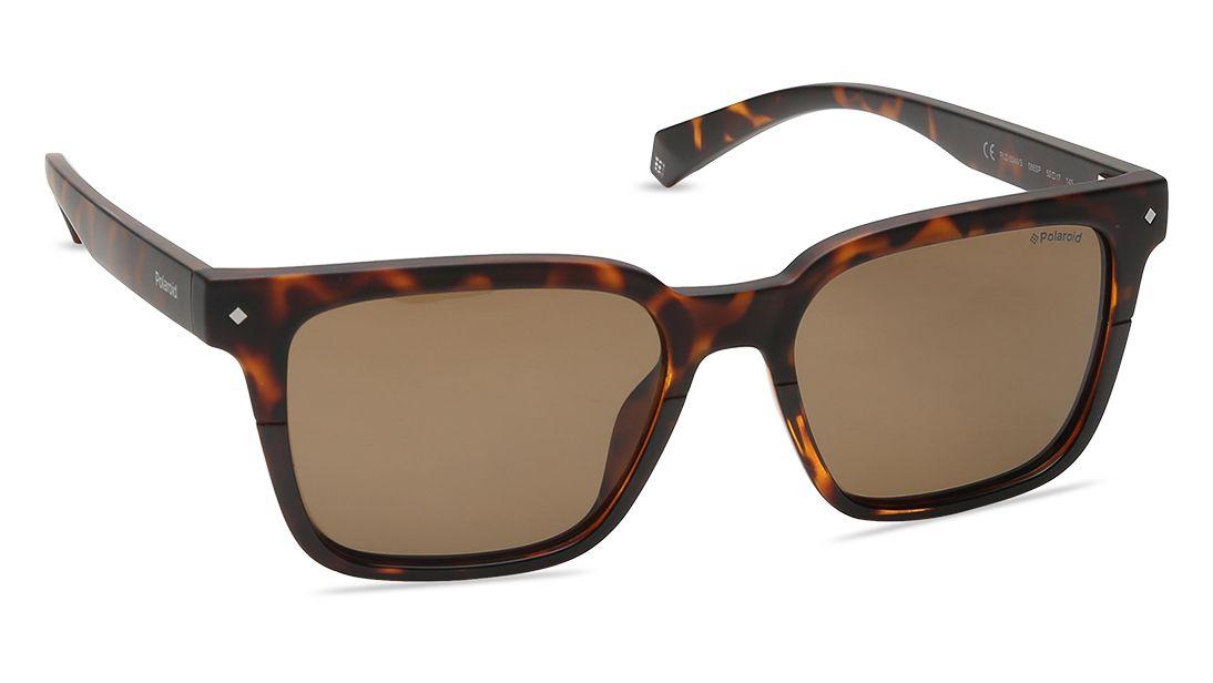 A pair of sunglasses

Description automatically generated